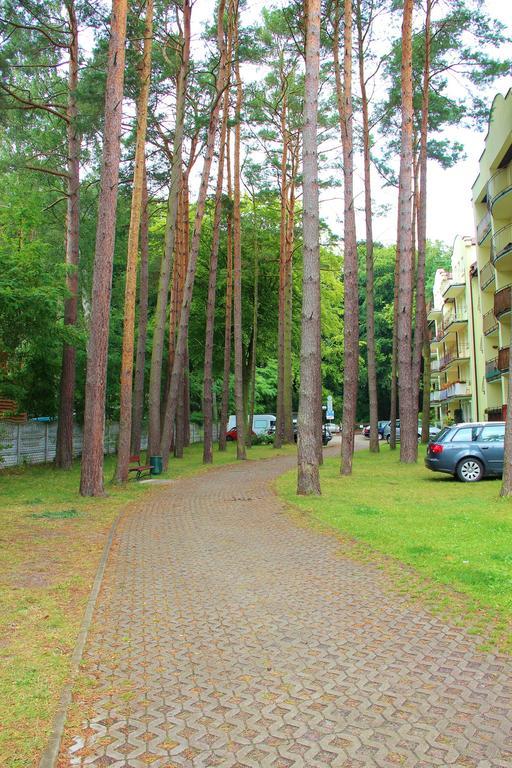 מידזיזדרויה Smm Apartament Gryf Morskie Oko חדר תמונה